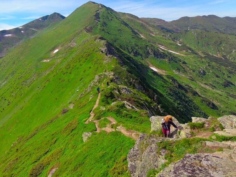 Cluj Napoca: Rodnei Mountains Full-Day Guided Hiking Tour - Final Thoughts: Who Will Love This Tour?