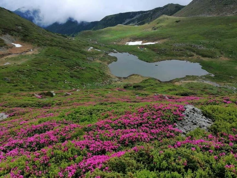 Cluj Napoca: Rodnei Mountains Full-Day Guided Hiking Tour - FAQs