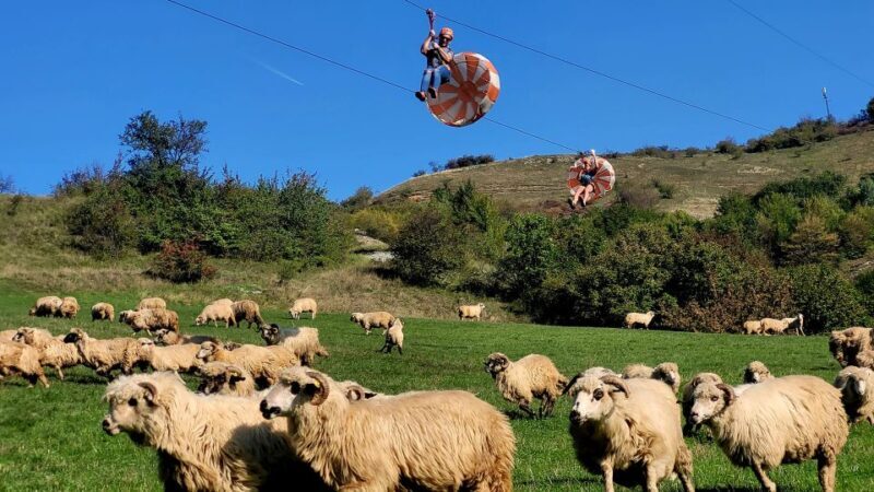Cluj: Outdoor Activities Day Trip with Zip Line and Hike - The Sum Up
