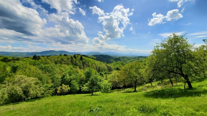 Cluj to Rosia: Day Trip to Ferrata and pittoresque country - An In-Depth Look at the Experience