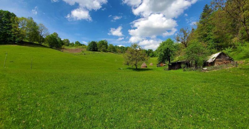 Cluj to Rosia: Day Trip to Ferrata and pittoresque country - Who Should Consider This Tour?