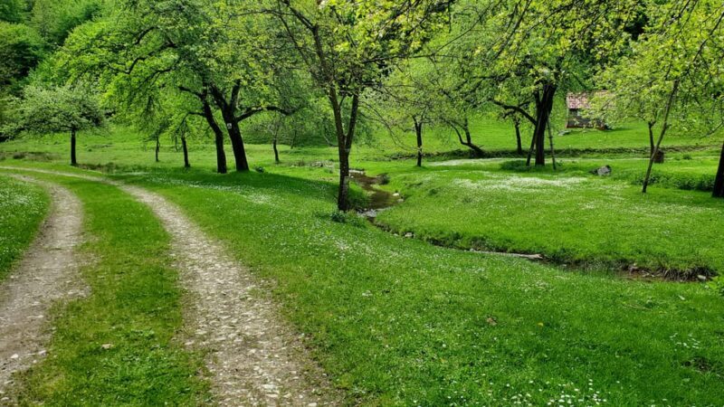 Cluj to Rosia: Day Trip to Ferrata and pittoresque country - FAQs