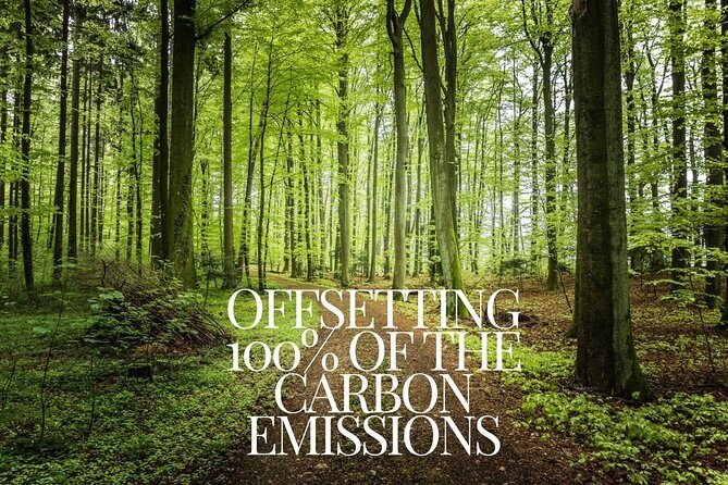 CO2-Offset Departure from Vilnius City to Vilnius VNO airport - Final Thoughts