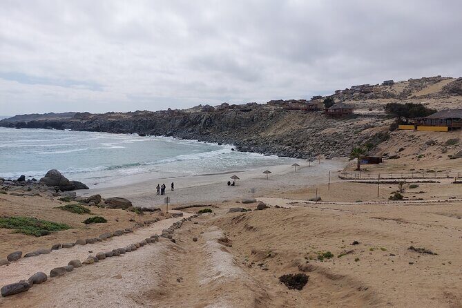 Coast and Atacama Desert English Bay and Sugar Loaf from La Serena - The Practical Side: Transportation, Duration, and Cost