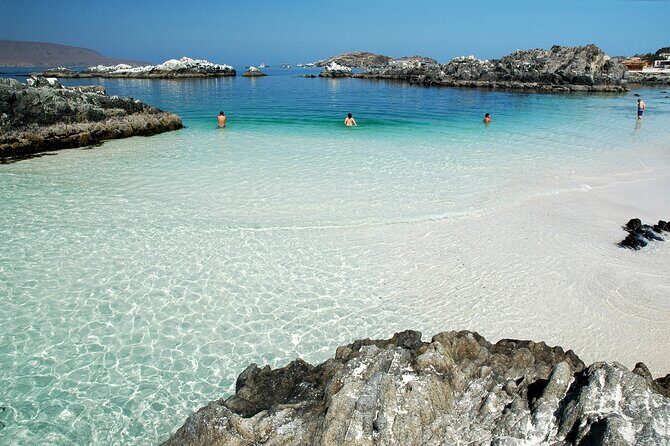 Coast and Atacama Desert English Bay and Sugar Loaf from La Serena - Who Would Enjoy This Tour?