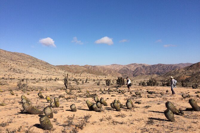 Coast and Atacama Desert English Bay and Sugar Loaf from La Serena - The Sum Up
