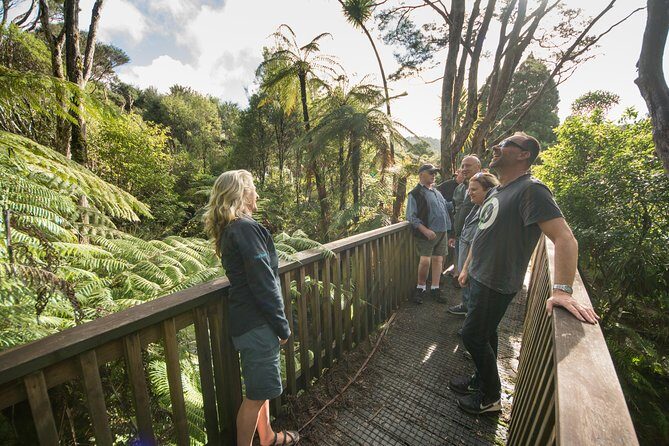 Coast and Rainforest Eco-Tour from Auckland with Picnic Lunch - Final Thoughts