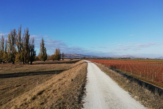 Coast to Vineyards Self-Guided Scenic Cycle Tour from Napier - Final Thoughts: Is This the Tour for You?