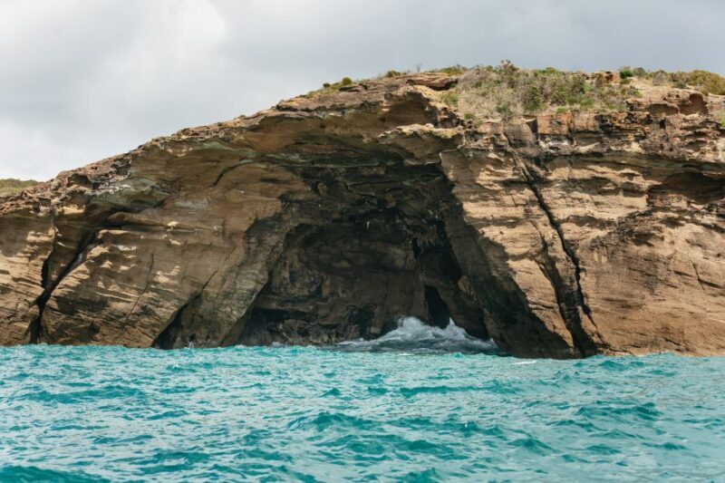 Coastal 2.5-hour Adventure Boat Tour from Newcastle - An In-Depth Look at the Newcastle Coastal Boat Tour