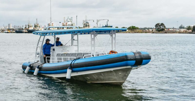 Coastal 2.5-hour Adventure Boat Tour from Newcastle - Summary: Who Should Consider This Tour?