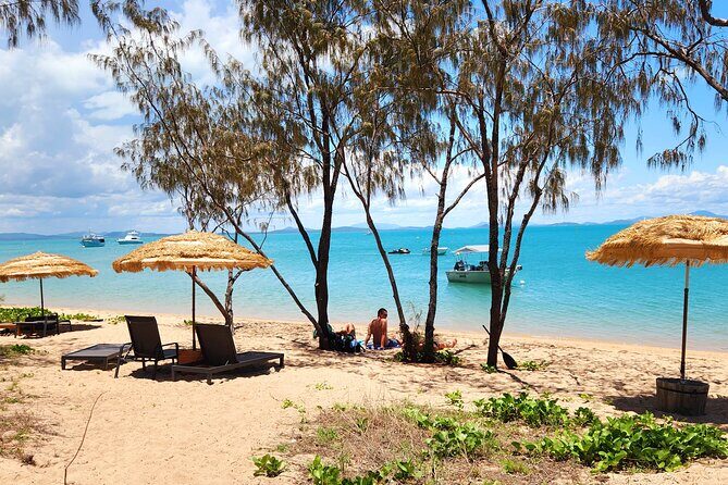 Coastal Beach Escape - Dingo Beach & Cape Gloucester - Coastal Beach Escape - Dingo Beach & Cape Gloucester: A Relaxing Day Off the Beaten Path