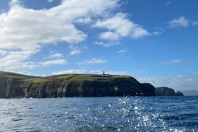 Coastal boat tour in Ribeira Grande and Porto Formoso - Why This Tour Offers Good Value