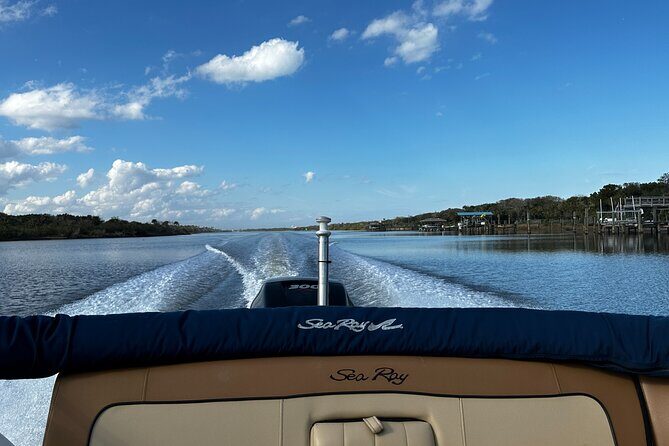 Coastal Discovery Cruise - Possible Drawbacks or Considerations