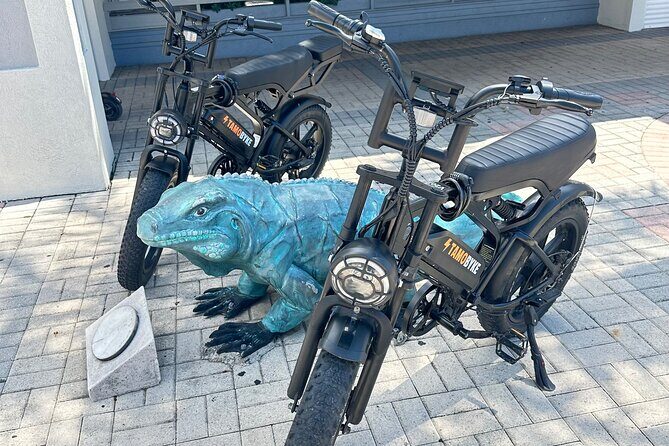 Coastal E-Bike Adventure: Full-Day Self-Guided Tour Grand Cayman - Coastal E-Bike Adventure: Full-Day Self-Guided Tour Grand Cayman