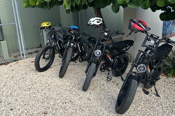 Coastal E-Bike Adventure: Full-Day Self-Guided Tour Grand Cayman - Who Is This Tour Best For?