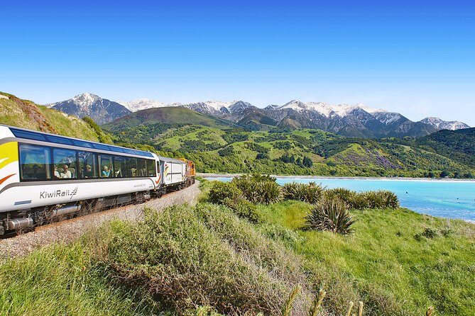 Coastal Pacific Train Journey from Christchurch to Picton - The Route and Its Natural Beauty