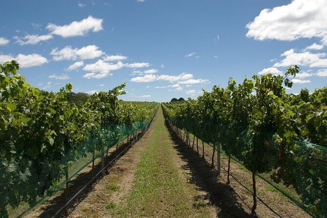 Coastal Scenic Food & Wine Trail - Who Will Love This Tour?
