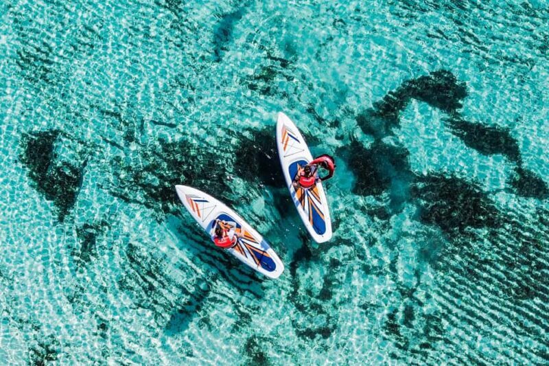 Coastal Thrill Day: Kayak, Paddle & Snorkel at Cozumel - Key Points