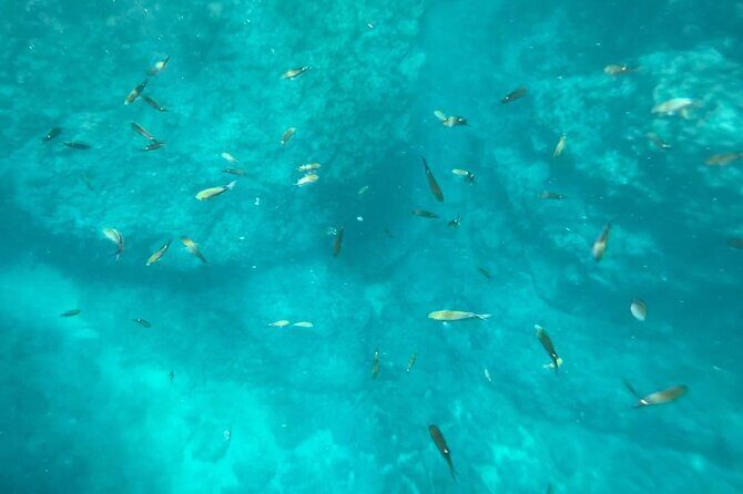 Coastal Tour in Punta Mita: Scenic Landscapes and Snorkeling - Key Points