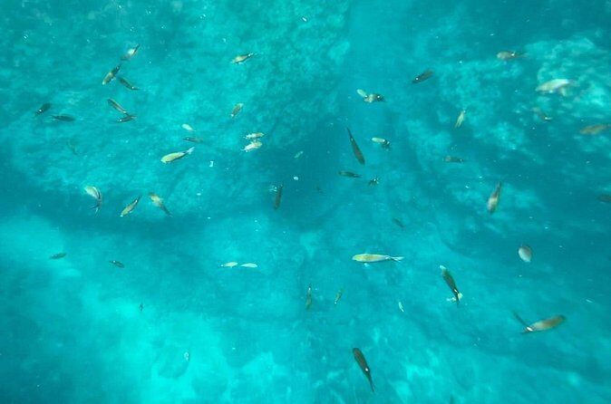 Coastal Tour in Punta Mita: Scenic Landscapes and Snorkeling - Who Should Consider This Tour?