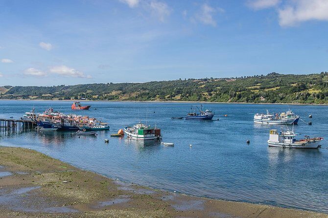 Coastal Villages Tour of Chiloé from Castro - FAQ