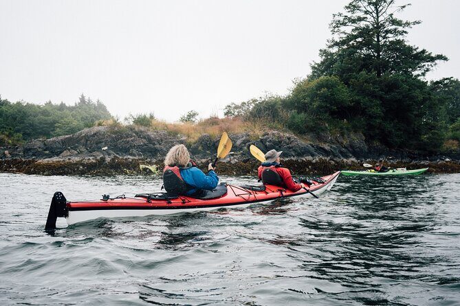 Coastal Waters Full Day Kayaking Tour - The Experience in Detail