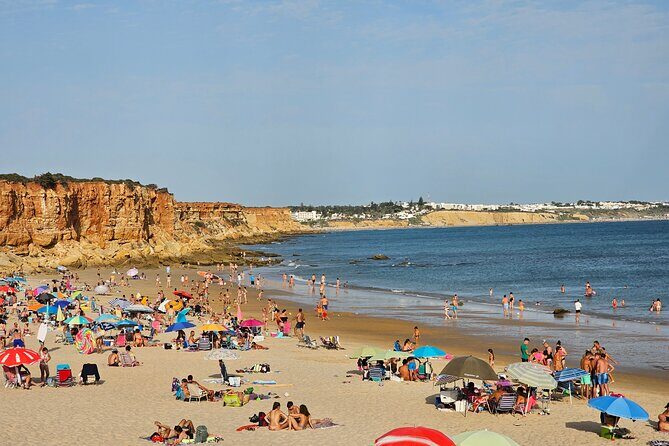 Coastal White Villages and beaches private day trip from Seville - Authentic Experiences and Practical Details