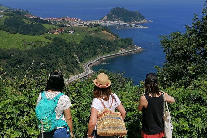 Coastal "Winery Camino Trail" Walking Tour from San Sebastian - Coastal "Winery Camino Trail" Walking Tour from San Sebastián