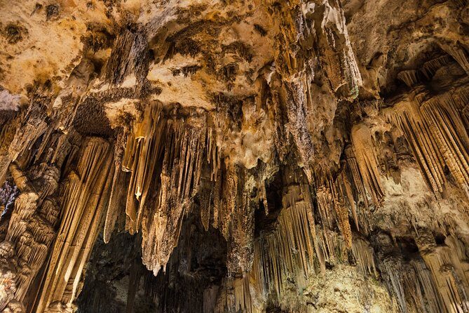 Coasts and Mountains: Nerja to Frigiliana with Nerja Caves Small-Group Day Trip - The Practical Side: What You Need to Know