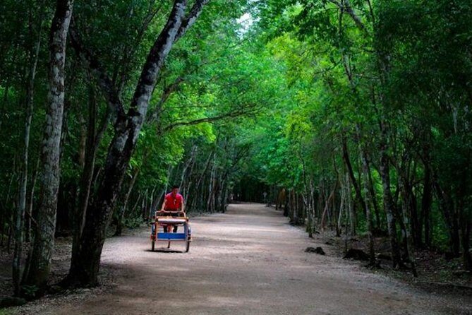 Coba Mayan Ruins and Cenote Cultural Full-Day Tour from Riviera Maya - Final Thoughts