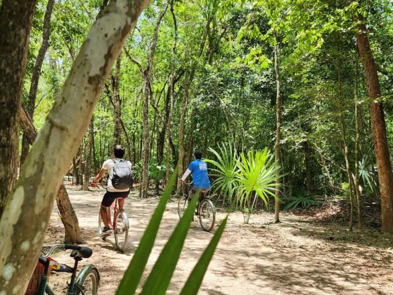 Cobá Ruins and Río Secreto Guided Tour - Overall Value and Who Will Love This Tour