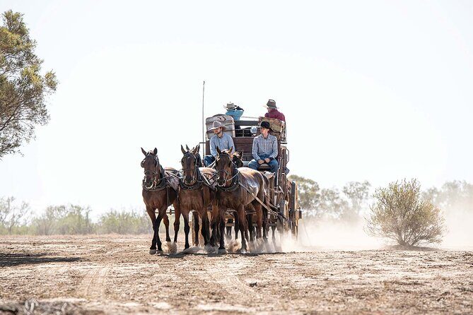 Cobb & Co Stagecoach Experience in Longreach - A Deep Dive into the Longreach Cobb & Co Experience