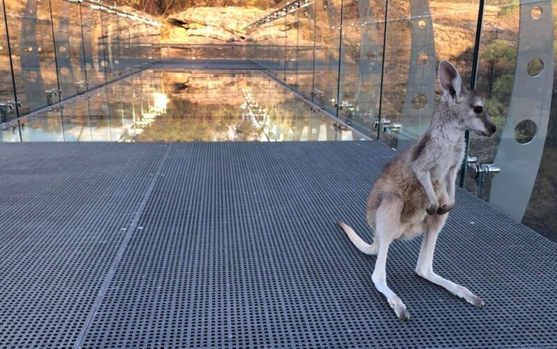 Cobbold Gorge 3 hour tour - A Detailed Look at Cobbold Gorges 3-Hour Tour