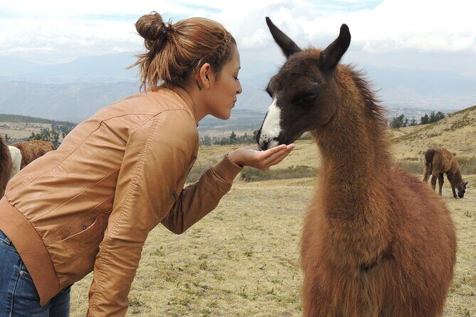 Cochasqui Pyramids, Rose Plantation and Equator Line Day Tour - Key Points