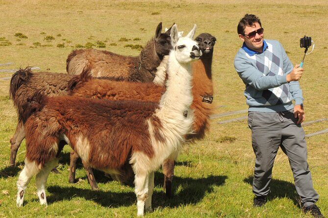 Cochasqui Pyramids, Rose Plantation and Equator Line Day Tour - What’s Included and What to Consider