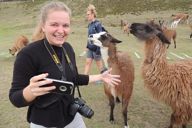 Cochasqui Pyramids, Rose Plantation and Equator Line Day Tour - FAQ