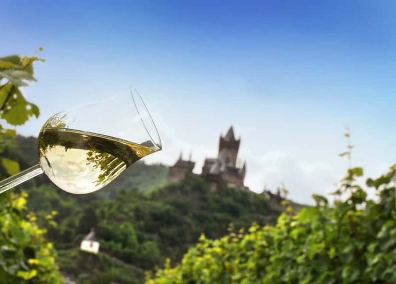 Cochem, Mosel: Mit dem Kanu zum Winzer - Practical Considerations: Cost, Group Size, and Timing