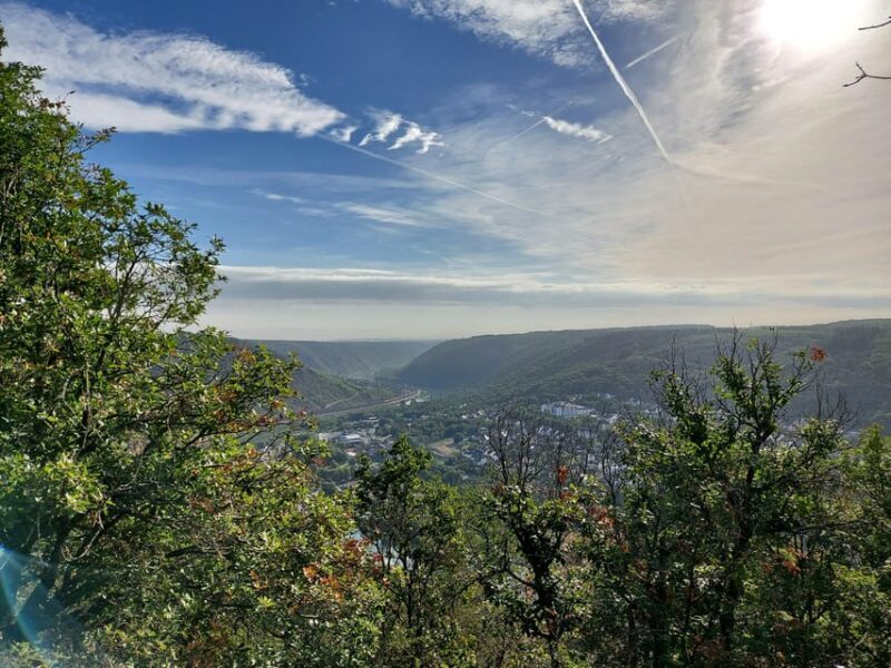 Cochem, Moselle: Wine experience hike with boat trip - Key Points