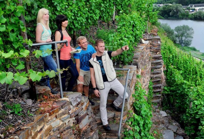 Cochem, Moselle: Wine experience hike with boat trip - A Deep Dive into the Experience