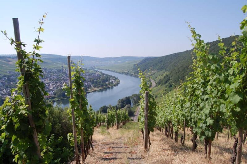 Cochem, Moselle: Wine experience hike with boat trip - FAQs