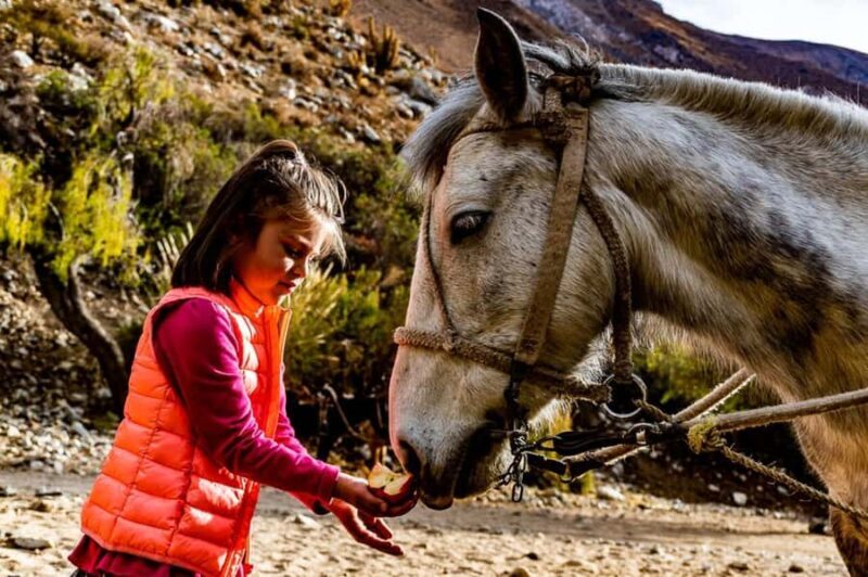 Cochiguaz: Horseback Riding, River and Mountain Range - The Sum Up: Why Choose This Tour?