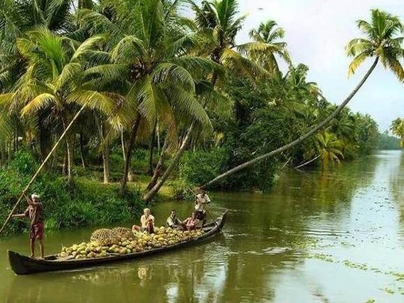 Cochin : Alleppey/Alappuzha Backwater Canoe (Shikara) Cruise - Key Points