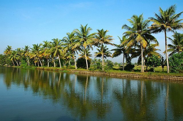 Cochin : Alleppey/Alappuzha Backwater Canoe (Shikara) Cruise - Who Should Consider This Tour?
