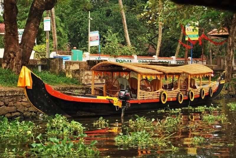 Cochin : Alleppey/Alappuzha Backwater Canoe (Shikara) Cruise - The Sum Up