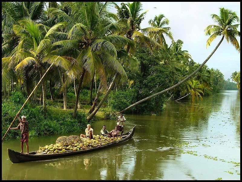 Cochin: Alleppey Backwater Private Day Cruise by Houseboat - Potential Drawbacks or Considerations