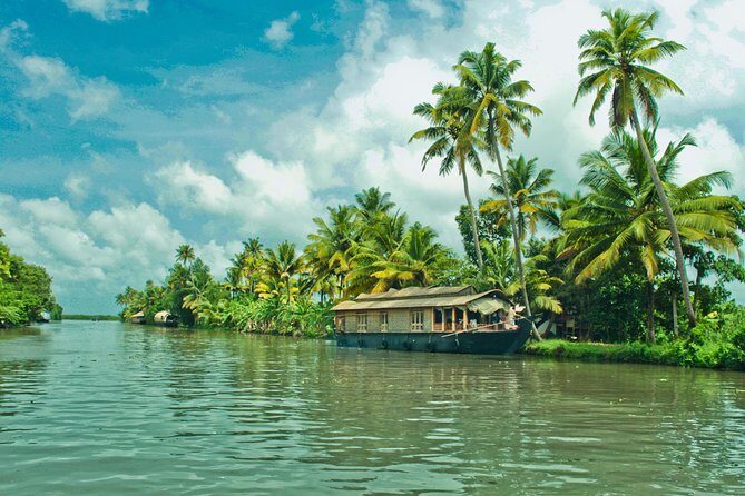 Cochin City or Backwater Shore Excursions from Cruise Terminal - Key Points