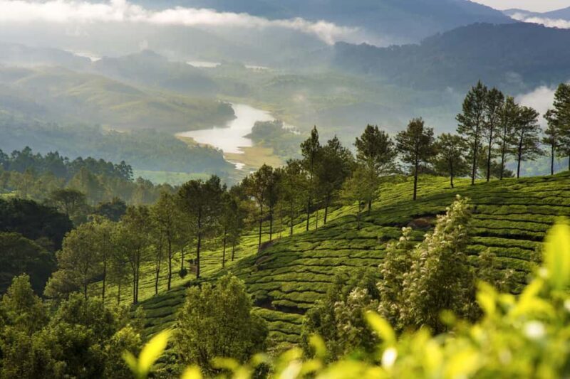Cochin: Munnar Hill Station Tea Garden Overnight Tour - FAQ