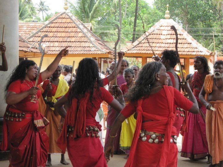 Cochin shore excursion with Lijo Jose - The Sum Up: Why This Tour Deserves a Spot on Your Kochi List