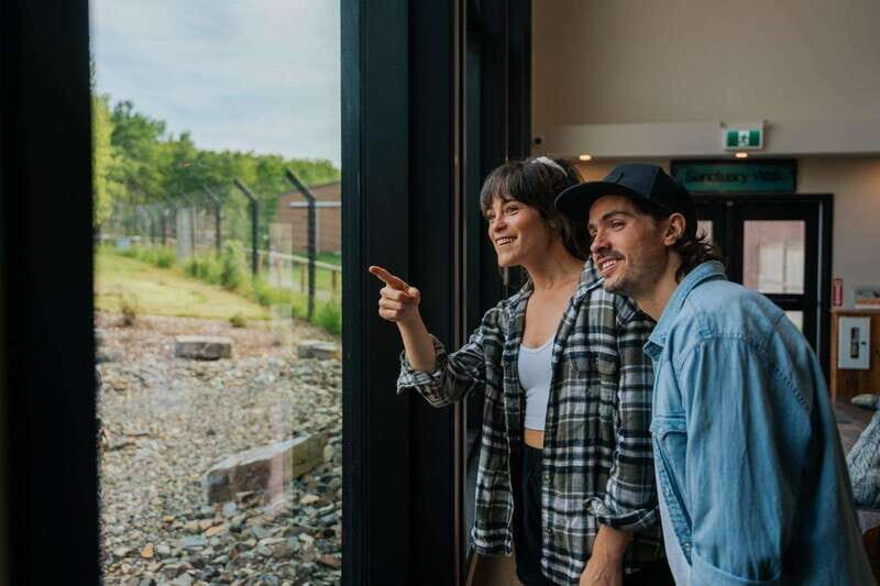 Cochrane: Yamnuska Wolfdog Sanctuary Tour - Unpacking the Experience: What to Expect from the Yamnuska Wolfdog Sanctuary Tour