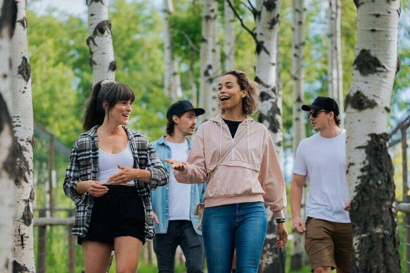 Cochrane: Yamnuska Wolfdog Sanctuary Tour - Who Should Consider This Tour?